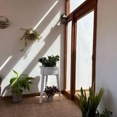 Private Villa With Pool In The Mountains Pajara  Екстер'єр фото