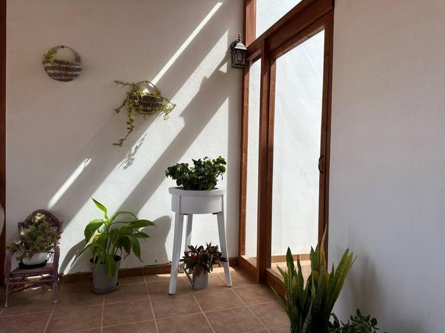 Private Villa With Pool In The Mountains Pajara  Екстер'єр фото